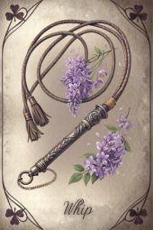 card-9